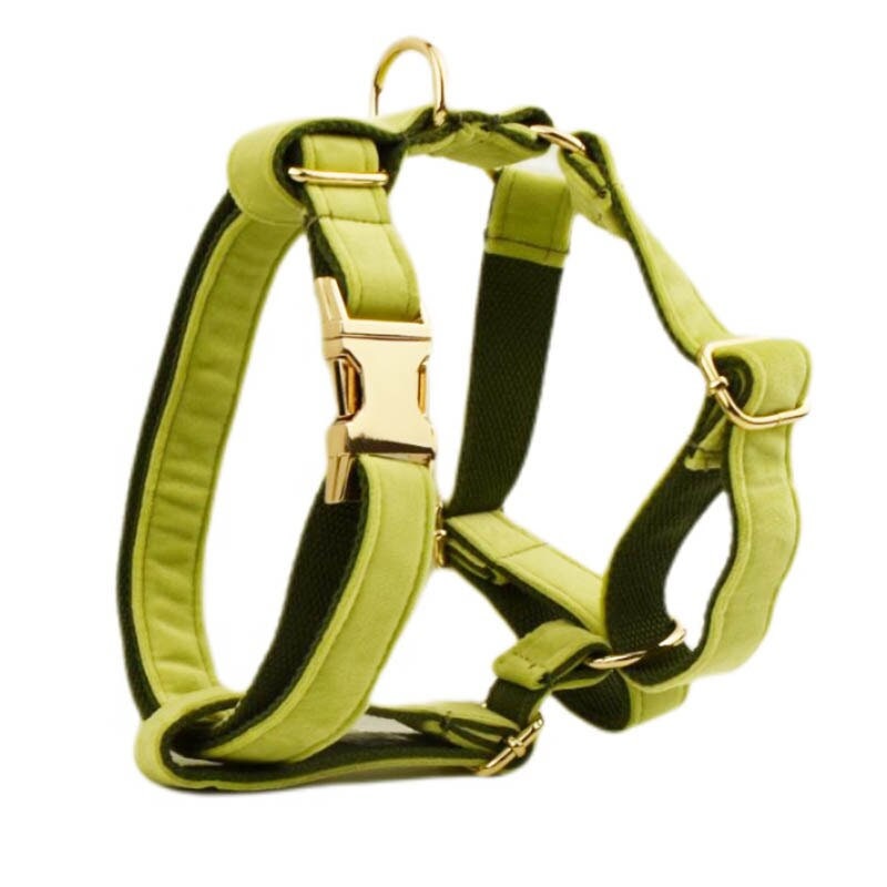 Green Personalised Dog Harness for Small, Medium, Large Dogs, Avocado Green Custom Dog Collar with Name, Bow, Flower, Poop Bag Holder
