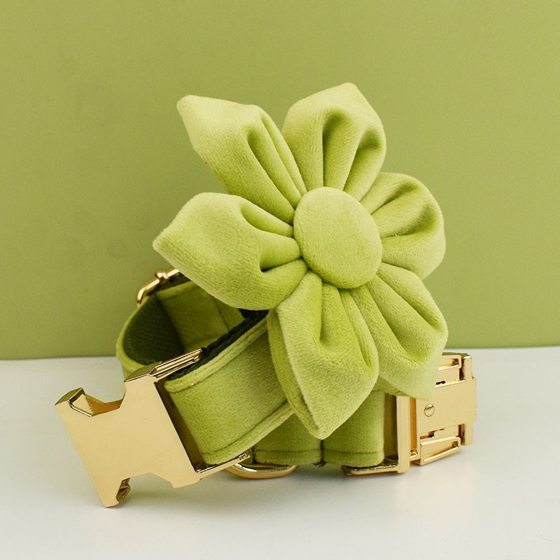 Green Personalised Dog Harness for Small, Medium, Large Dogs, Avocado Green Custom Dog Collar with Name, Bow, Flower, Poop Bag Holder