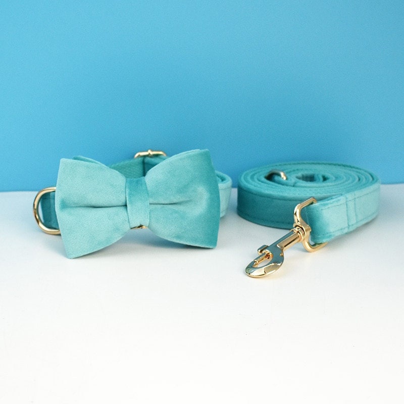 Custom Turquoise Velvet Personalised Dog Collar, Matching Dog Bowtie, Dog Flower, Leash, H-Style Dog Harness & Dog Poop Bag