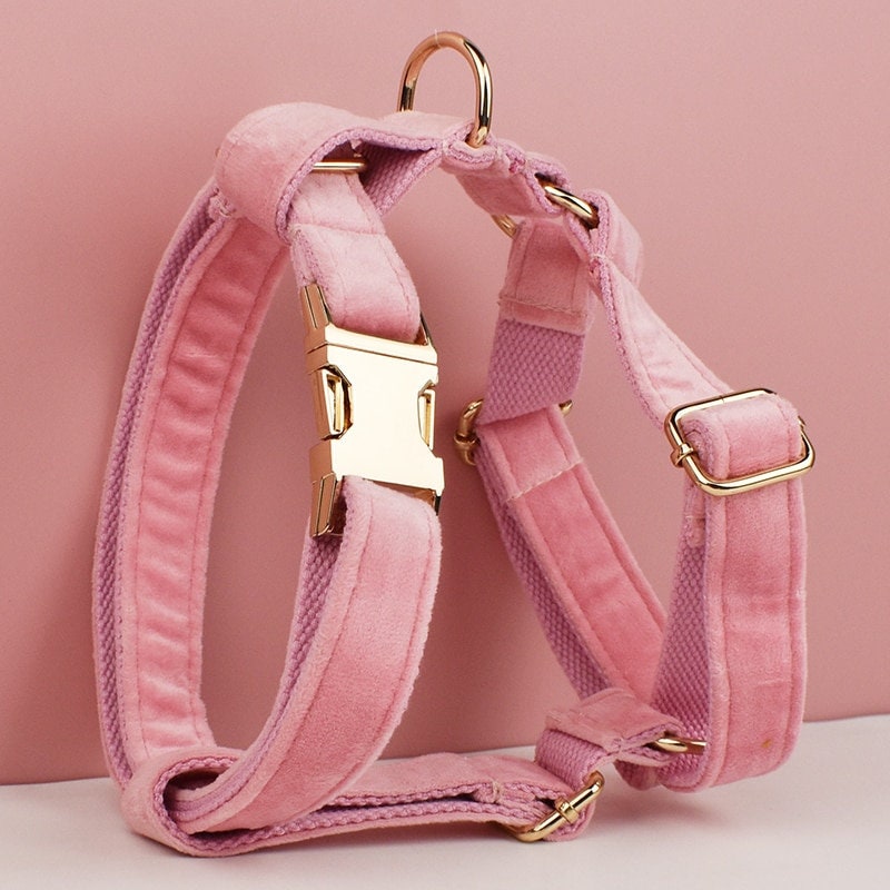Custom Pink Velvet Personalised Dog Collar, Matching Dog Bowtie, Dog Flower, Dog Leash, H-Style Dog Harness & Dog Poop Bag