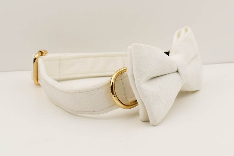 Custom White Velvet Personalised Dog Collar, Matching Dog Bowtie, Dog Flower, Dog Leash, H-Style Dog Harness & Dog Poop Bag