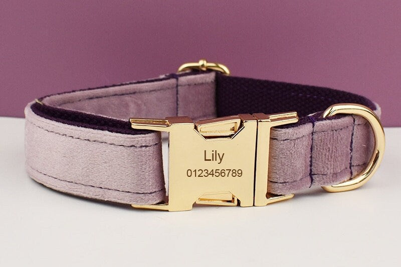 Purple Dog Harness, Custom Velvet Personalised Wedding Dog Collar with Name, Bow, Flower, Leash, Poop Bag Holder