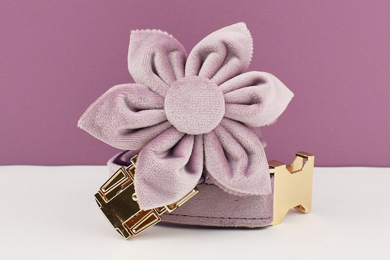 Purple Dog Harness, Custom Velvet Personalised Wedding Dog Collar with Name, Bow, Flower, Leash, Poop Bag Holder