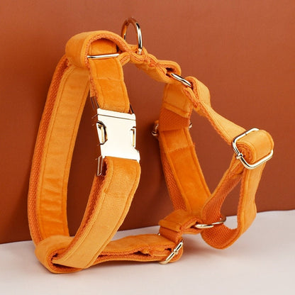 Custom Orange Velvet Personalised Dog Collar, Matching Dog Bowtie, Dog Flower, Dog Leash, H-Style Harness & Dog Poop Bag