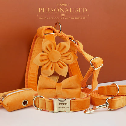 Custom Orange Velvet Personalised Dog Collar, Matching Dog Bowtie, Dog Flower, Dog Leash, H-Style Harness & Dog Poop Bag