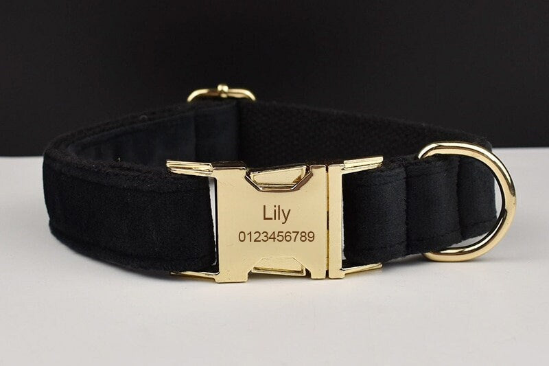 Black Personalised Female or Male Dog Collar with Name, Custom H-Style Dog Harness or Leash, Bow, Poop Bag Holder for Wedding or Daily Use