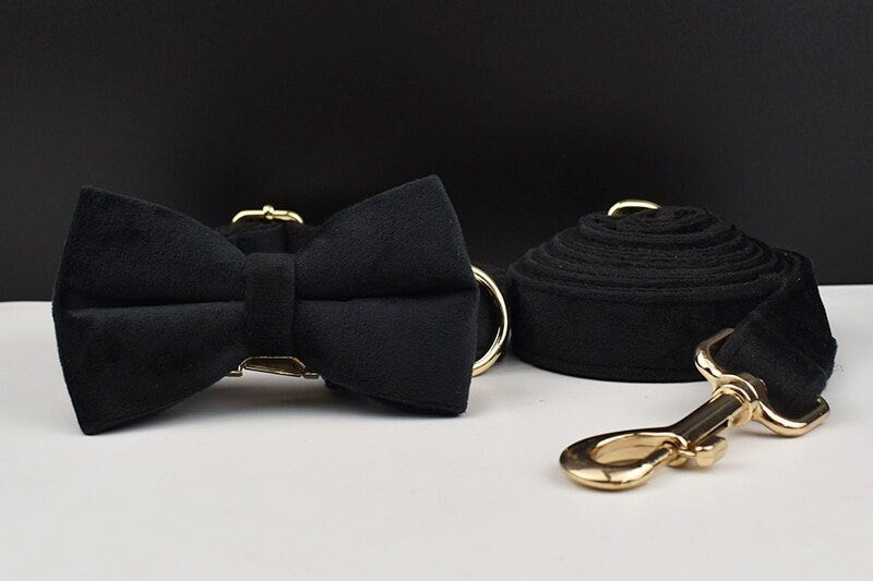 Black Personalised Female or Male Dog Collar with Name, Custom H-Style Dog Harness or Leash, Bow, Poop Bag Holder for Wedding or Daily Use