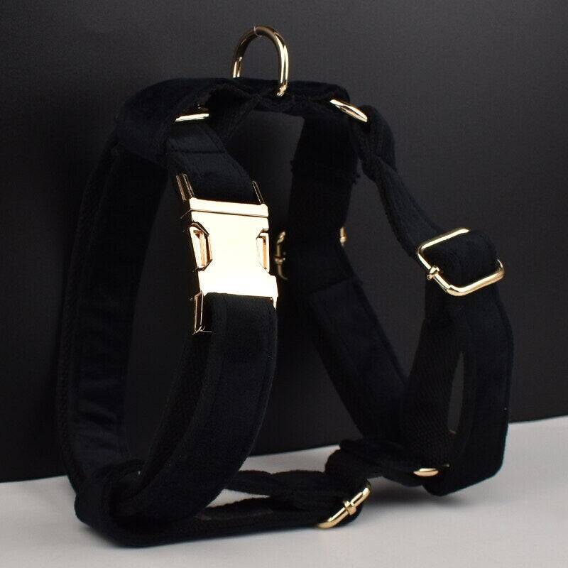 Black Personalised Female or Male Dog Collar with Name, Custom H-Style Dog Harness or Leash, Bow, Poop Bag Holder for Wedding or Daily Use