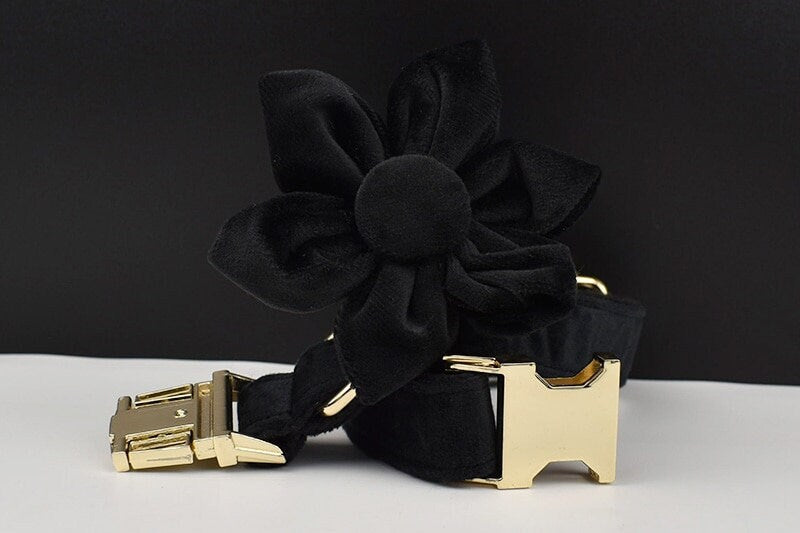 Black Personalised Female or Male Dog Collar with Name, Custom H-Style Dog Harness or Leash, Bow, Poop Bag Holder for Wedding or Daily Use
