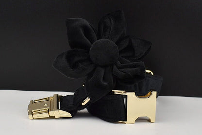 Black Personalised Female or Male Dog Collar with Name, Custom H-Style Dog Harness or Leash, Bow, Poop Bag Holder for Wedding or Daily Use