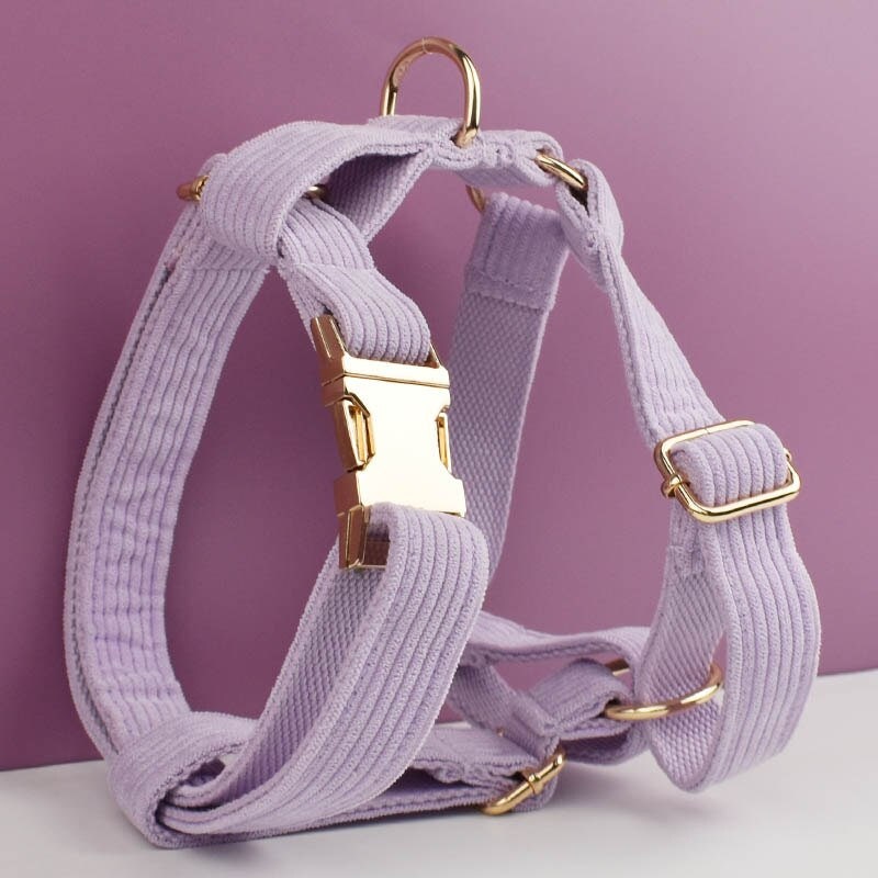 Purple Dog Collar Custom with Name in Corduroy, Personalised H-Style Dog Harness, Bowtie, Leash, Dog Poop Bag