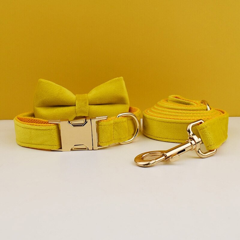 Yellow Dog Collar Soft Velvet Custom with Name, Personalised H Harness, Leash Set, Bow, Flower, Poop Bag Holder
