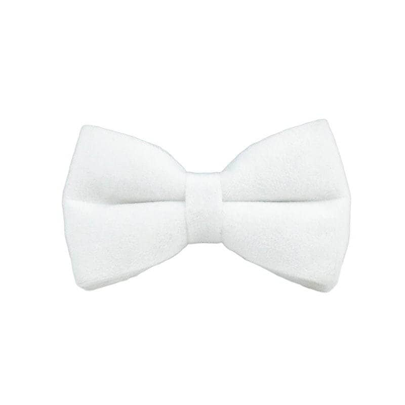 Custom White Velvet Personalised Dog Collar, Matching Dog Bowtie, Dog Flower, Dog Leash, H-Style Dog Harness & Dog Poop Bag
