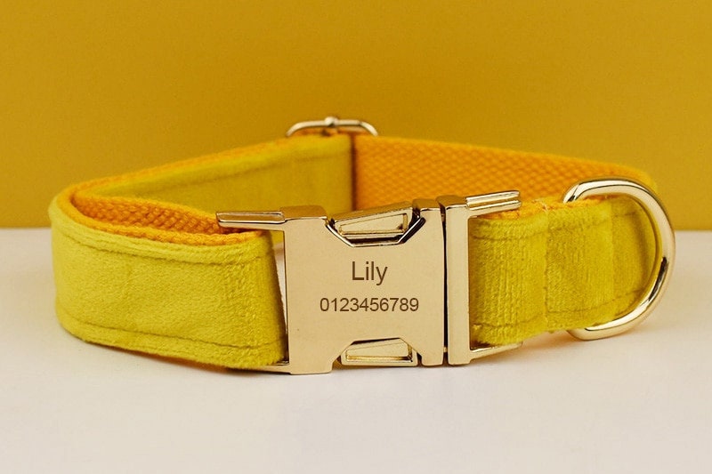 Yellow Dog Collar Soft Velvet Custom with Name, Personalised H Harness, Leash Set, Bow, Flower, Poop Bag Holder