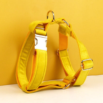 Yellow Dog Collar Soft Velvet Custom with Name, Personalised H Harness, Leash Set, Bow, Flower, Poop Bag Holder