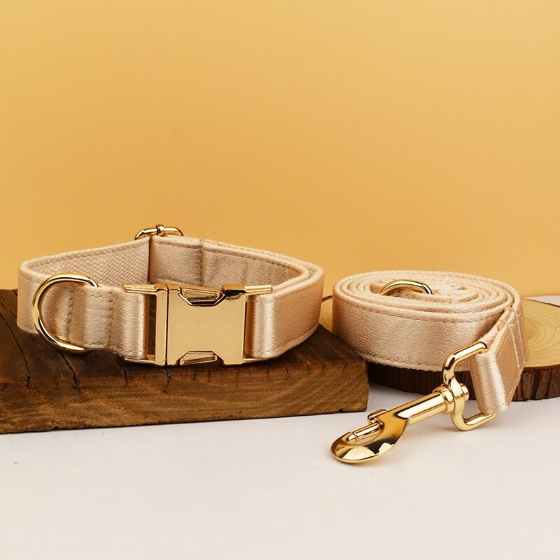 Wedding Dog Collar in Gold Satin, Custom Silky Yellow H Style Dog Harness with Name, Leash, Sailor Bow for Birthday