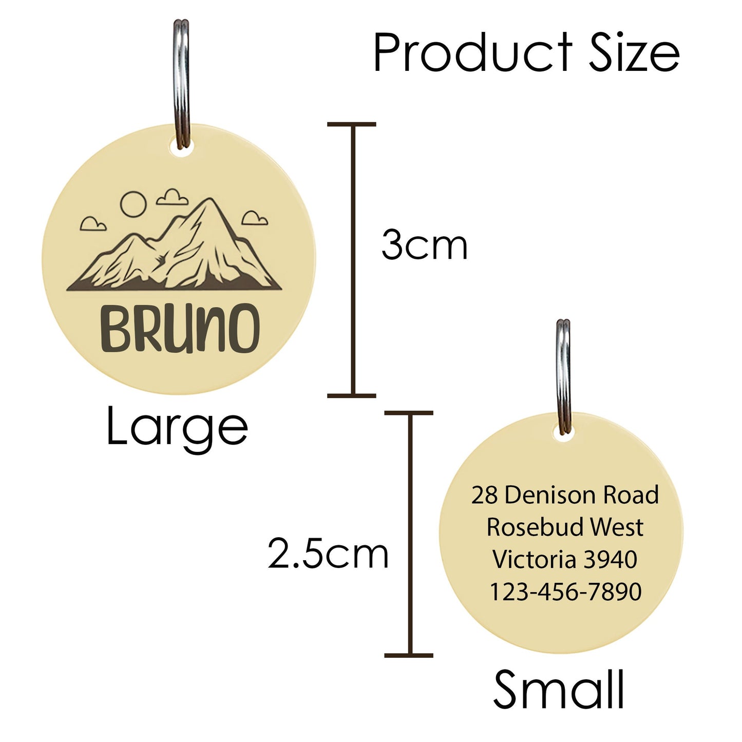 Customised Stainless Steel Pet ID Tag - Personalised with Your Pet's Name and Contact - Front and Back Engraving for Dogs and Cats