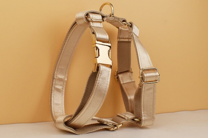 Wedding Dog Collar in Gold Satin, Custom Silky Yellow H Style Dog Harness with Name, Leash, Sailor Bow for Birthday