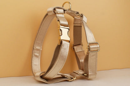 Wedding Dog Collar in Gold Satin, Custom Silky Yellow H Style Dog Harness with Name, Leash, Sailor Bow for Birthday