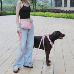 Personalised Dog Collar or Dog Harness Set - Pink No Pull Dog Harness - Dog Leash - Poop Bag Holder - Treat Bag - Different Combo