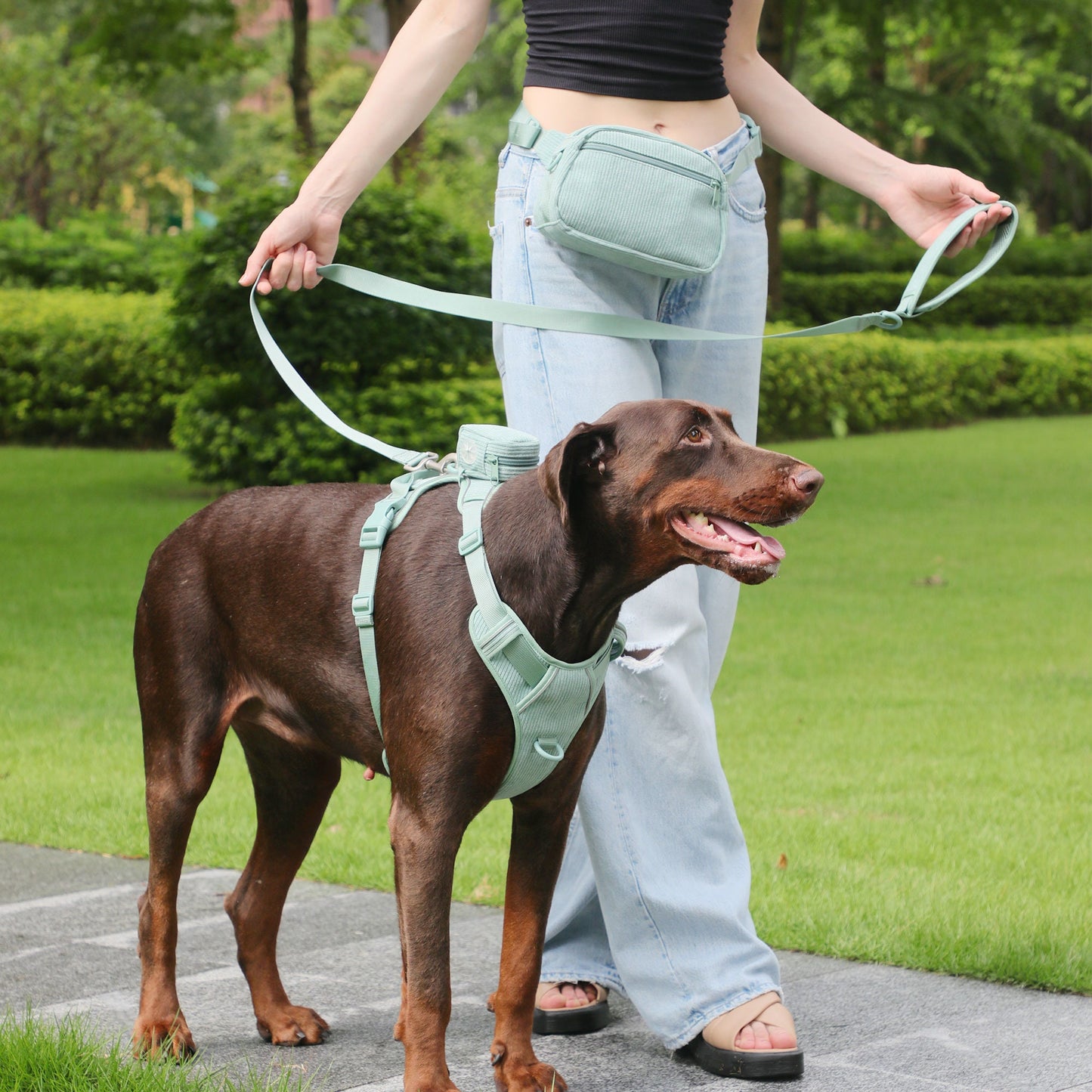 Personalised Dog Collar or Dog Harness Set - Mint Green No Pull Dog Harness - Dog Leash - Poop Bag Holder - Treat Bag