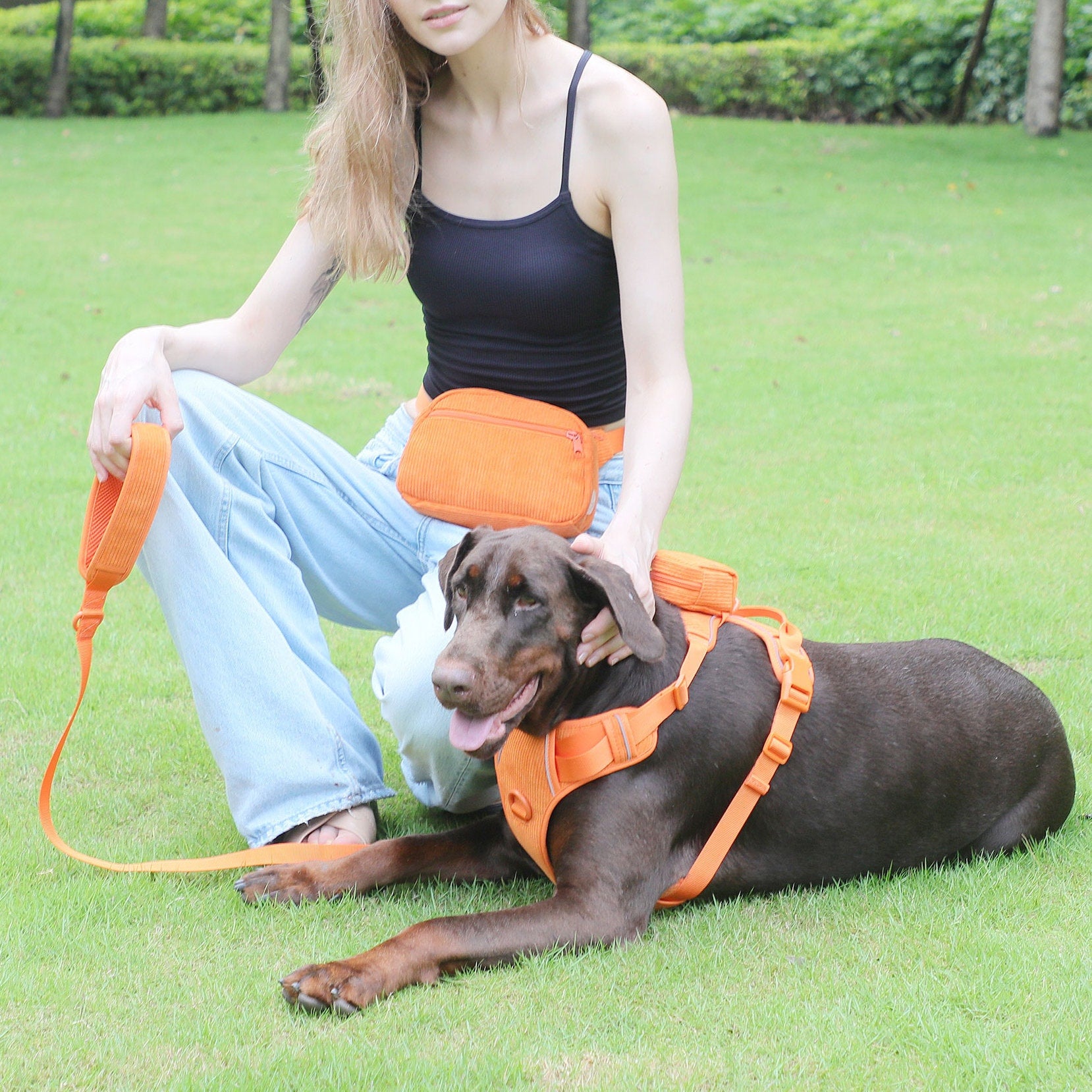 Personalised Dog Collar or Dog Harness Set - Orange No Pull Dog Harness - Dog Leash - Poop Bag Holder - Treat Bag - Different Combo
