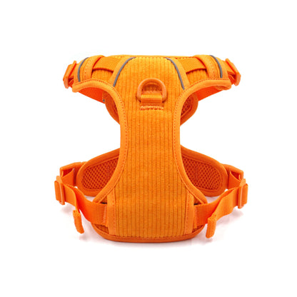 Personalised Dog Collar or Dog Harness Set - Orange No Pull Dog Harness - Dog Leash - Poop Bag Holder - Treat Bag