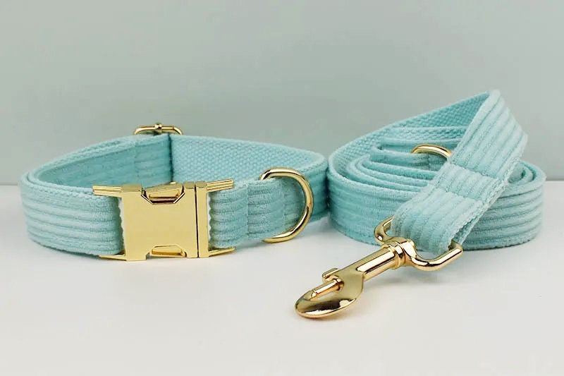 Personalised Lake Green Dog Collar or Checker Pattern, Custom Buckle with Name, for Formal, Wedding, H Harness, Bow, Leash