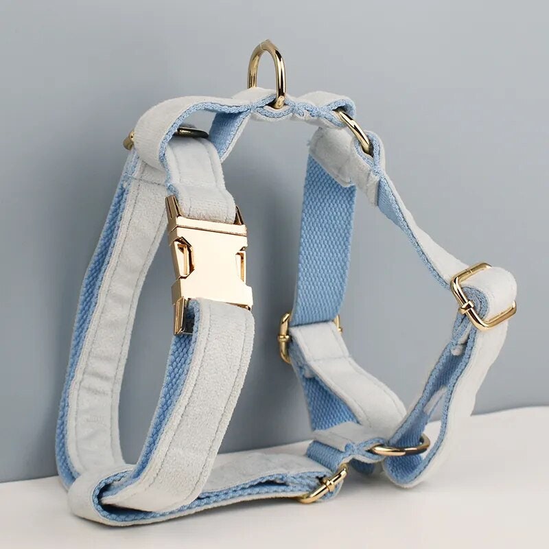 Custom Light Blue Velvet Personalised Dog Collar, Matching Dog Bowtie, Dog Flower, Leash, H-Style Harness & Dog Poop Bag