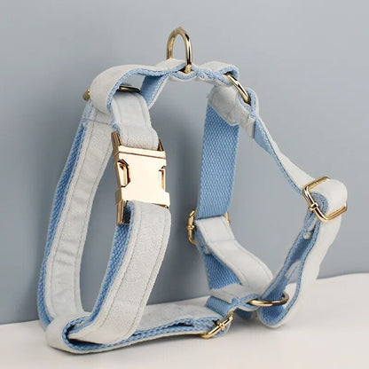 Custom Light Blue Velvet Personalised Dog Collar, Matching Dog Bowtie, Dog Flower, Leash, H-Style Harness & Dog Poop Bag