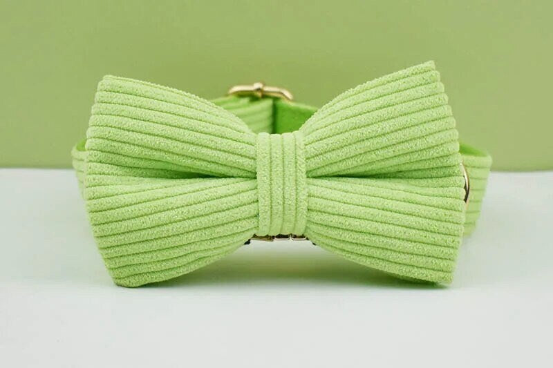 Custom Green Corduroy Personalised Dog Collar, Matching Dog Bowtie, Dog Leash, H-Style Dog Harness & Dog Poop Bag