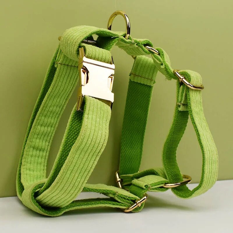 Custom Green Corduroy Personalised Dog Collar, Matching Dog Bowtie, Dog Leash, H-Style Dog Harness & Dog Poop Bag