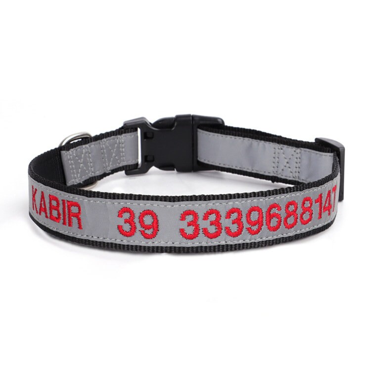 Personalised Embroidered Reflective Nylon Dog Collar, Custom Name for Small to Large Dog, Au, Us, Uk, Ca Fast Free Ship