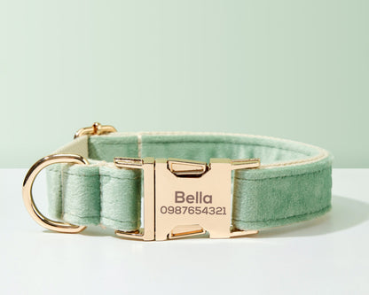 Green Dog Collar, Personalised Tag, Custom Dog Collar and Leash or Bow, Collar for Male Dog, Engraved Name on Dog Collar, Boy Collar
