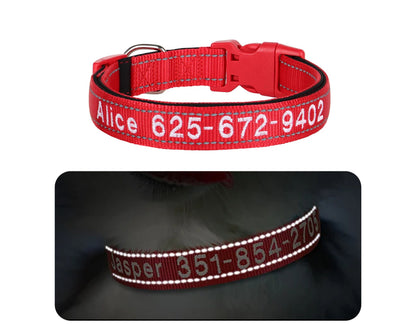 Personalised Reflective Dog Collar, Custom Embroidered Nylon Name for Small to Large Dog, Purple, Pink, Grey, Au, Us, Uk, Ca Fast Free Ship