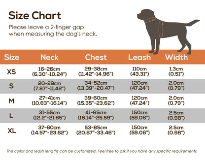 Customised Engraved Thick Velvet AIR FORCE BLUE Dog Collar Harness and Leash Set for Male Female Pet with Gold Buckle