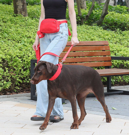 Personalised Dog Collar or Dog Harness Set - Red No Pull Dog Harness - Dog Leash - Poop Bag Holder - Treat Bag