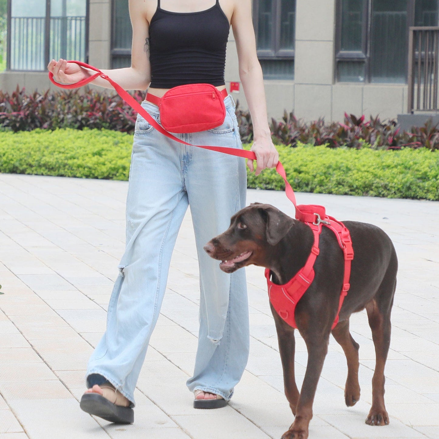 Personalised Dog Collar or Dog Harness Set - Red No Pull Dog Harness - Dog Leash - Poop Bag Holder - Treat Bag