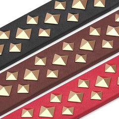 Personalized Laser Engraved Genuine Leather Spiked Deco Dog Collar for Small to Large dogs