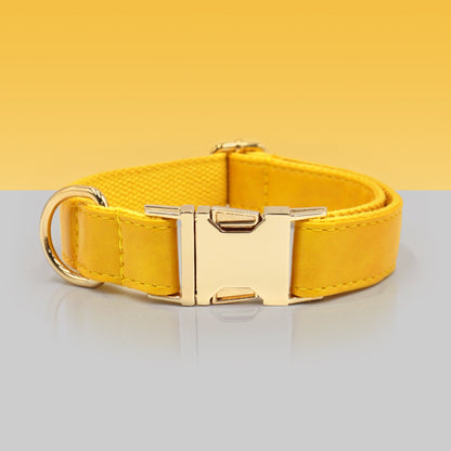 PU Leather Dog Collar, Collar/Lead/Poop Bag, Dog Collar Leash Set Cream+Light Blue+Yellow+Orange Engraved Metal Buckle, Wedding Puppy Gift