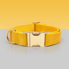 PU Leather Dog Collar, Collar/Lead/Poop Bag, Dog Collar Leash Set Cream+Light Blue+Yellow+Orange Engraved Metal Buckle, Wedding Puppy Gift