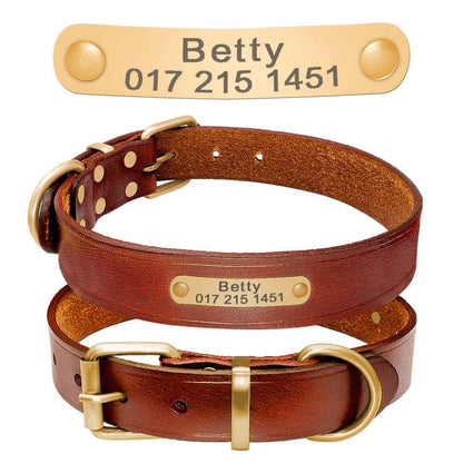 Leather dog collar Personalised classic genuine brown leather (gold/silver buckle) * custom dog collar with nameplate