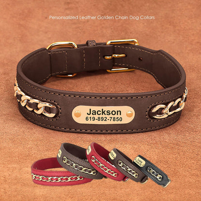 Personalised laser engraved genuine leather golden chain deco dog collar for small to large dogs