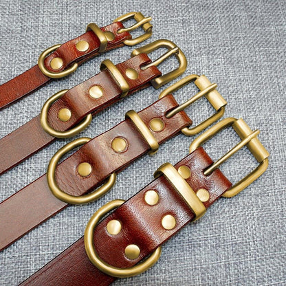 Leather dog collar Personalised classic genuine brown leather (gold/silver buckle) * custom dog collar with nameplate