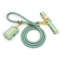 PU Leather Dog Collar, Collar/Harness/Lead/Poop Bag, Dog Collar Leash in Mint Green, Engraved Metal Buckle, Wedding Puppy Gift, Australia