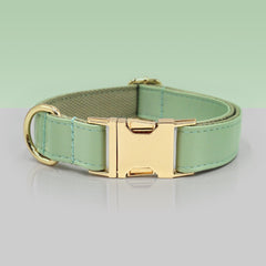 PU Leather Dog Collar, Collar/Harness/Lead/Poop Bag, Dog Collar Leash in Mint Green, Engraved Metal Buckle, Wedding Puppy Gift, Australia