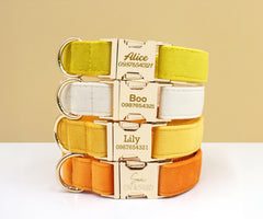 Yellow Dog Collar, Personalized Tag, Custom Dog Collar and Leash or Bow, Velvet Collar for Male Dog, Engraved Name on Dog Collar, Boy Collar