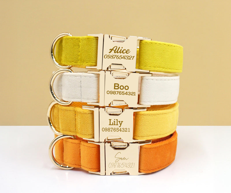 Yellow Dog Collar, Personalized Tag, Custom Dog Collar and Leash or Bow, Velvet Collar for Male Dog, Engraved Name on Dog Collar, Boy Collar