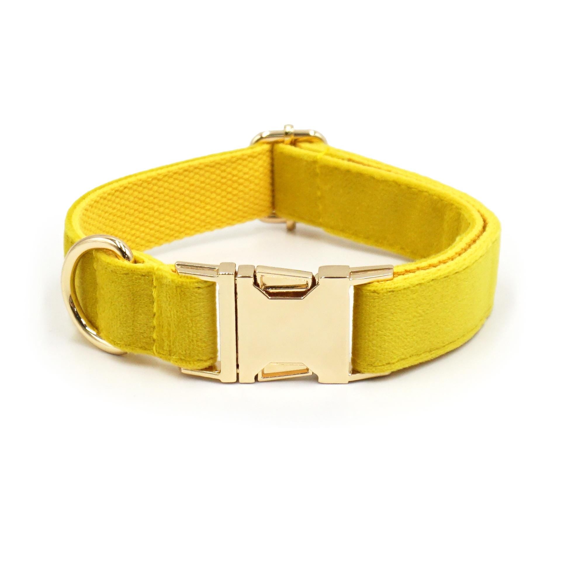 Yellow Dog Collar, Personalized Tag, Custom Dog Collar and Leash or Bow, Velvet Collar for Male Dog, Engraved Name on Dog Collar, Boy Collar