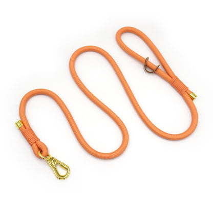 PU Leather Dog Collar, Collar/Harness/Lead/Poop Bag, Dog Collar Leash in Orange, Engraved Metal Buckle, Wedding Puppy Gift, Australia